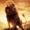 LEONE