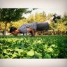 Aykut Can