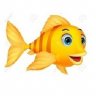 shark*