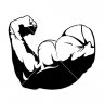 UmuT71