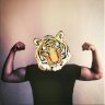 AnimalPowers