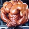 BodyBuilder.Turk