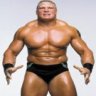 brock lesnar