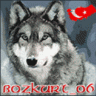 BozkuRT_06