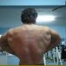 sertbody