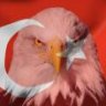 VATANSAĞOLSUN