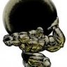 strong_man