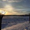 kursad_75