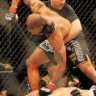 bestfighter