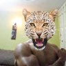 bazusoakanzee