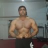 bolat744