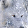 sabrewolf