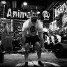 MasterVedi