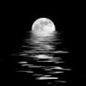 bittermoon