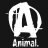 dr.animal