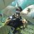Umut Kartal