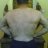 whitebear63
