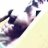 justin