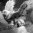 kartal06