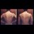 oarslan