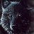 blackwolf