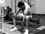 biceps5.gif