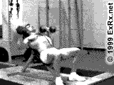 gogus6.gif