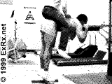 kalf1.gif