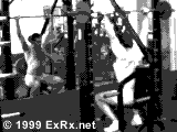 omuz2.gif