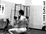 omuz8.gif
