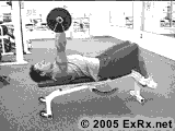 triceps2.gif